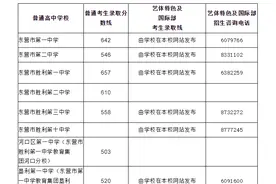 2025年东营市公办普通高中录取分数线图片