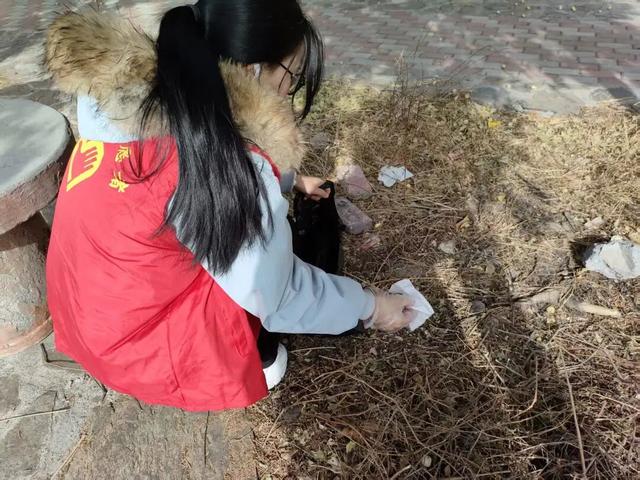 【青春护绿志愿行，环境焕新我先行】文县团委积极组织“返家乡”大学生参与环境卫生整治