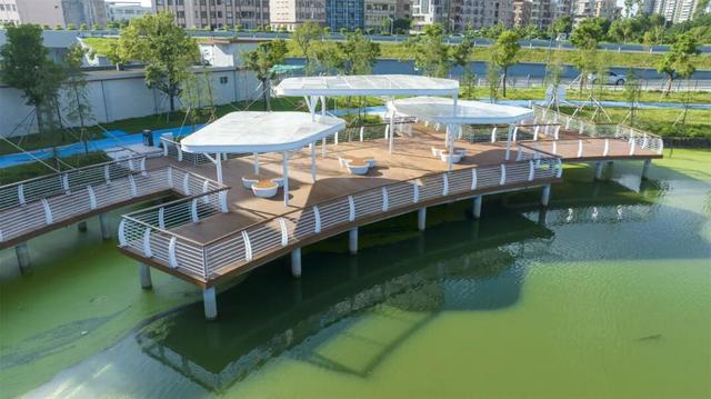 运动、遛娃、拍照全安排！东莞人“家门口”又上新了