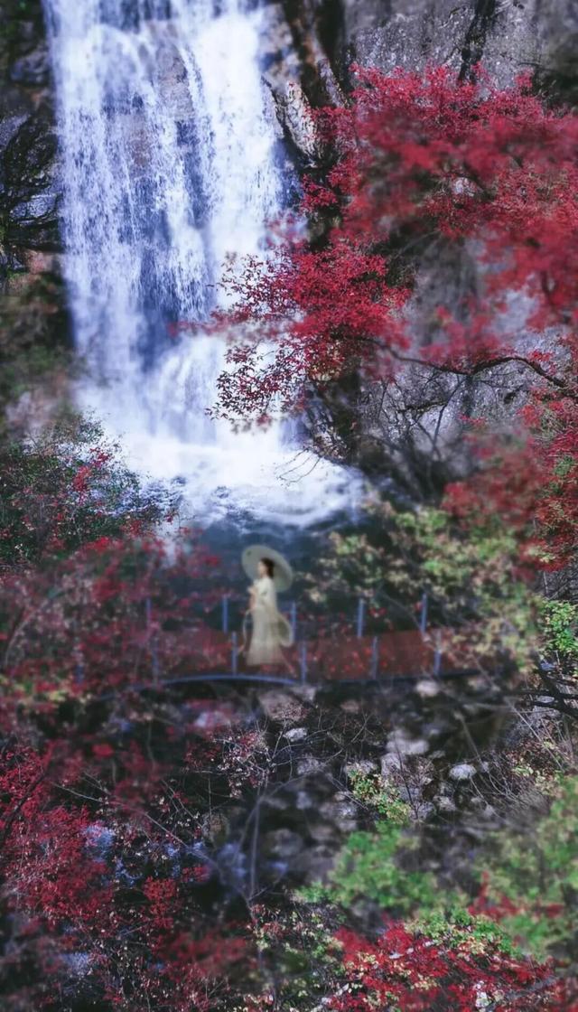 你的周末含“秋”量是多少？来秦岭测测！