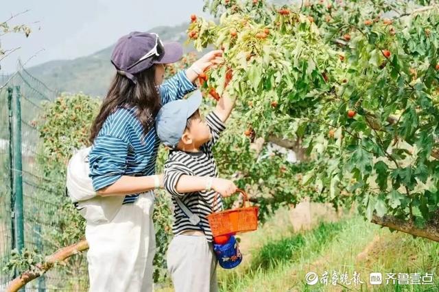 双节游历城：解锁乡野与城市的多维诗意时光
