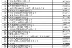 中国零售百强名单公布，河南3家企业上榜图片