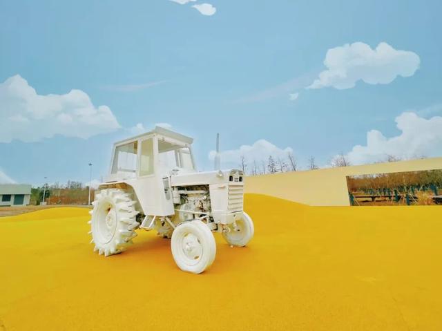 热搜！寒潮收尾！周末最高21℃！来光明东滩源、黄山茶林场兜兜…最低2折特惠！太值了！