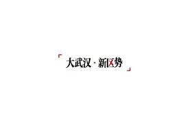 专注医疗器械精密制造，又一总部项目落户武汉图片