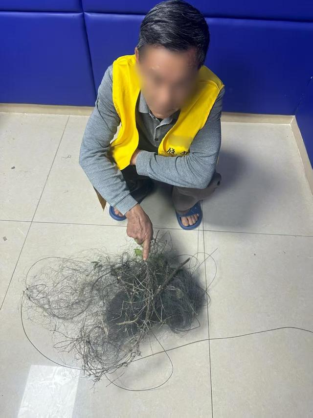 拍案丨巧设网者终自缚  跨省护鸟机制织密“法网”