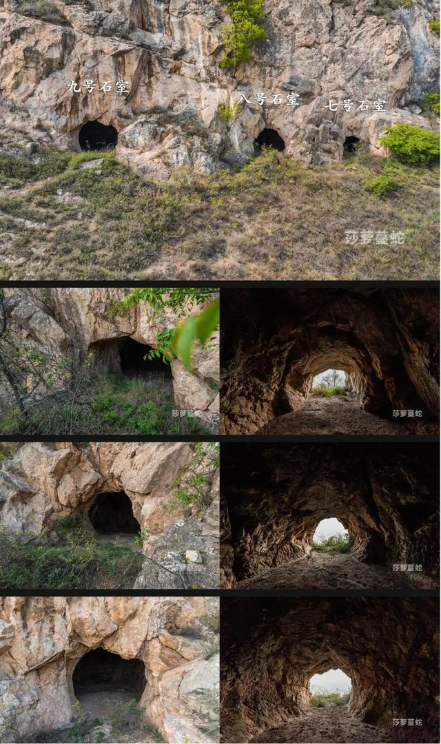唐陵西线丨乾县-礼泉 乾崇靖建昭陵（唐代露天石雕艺术博物馆）（9/30-10/4）