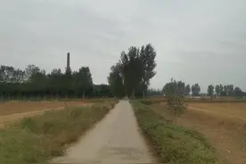 小村（诗歌）图片