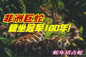 它名叫巨蛇，把持最大蛇类宝座100年！图片