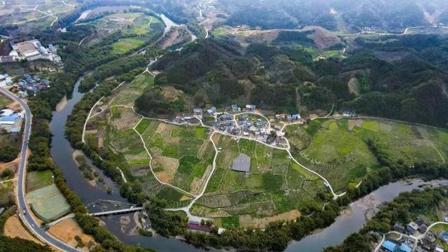 一口金桔甜，解锁融安初冬的N种玩法