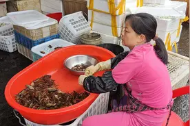 降价了！南昌本地小龙虾大量上市图片