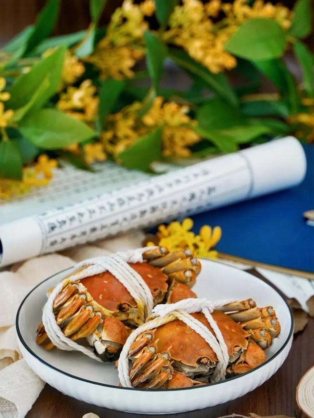 绿→黄，姑苏秋意进行时......