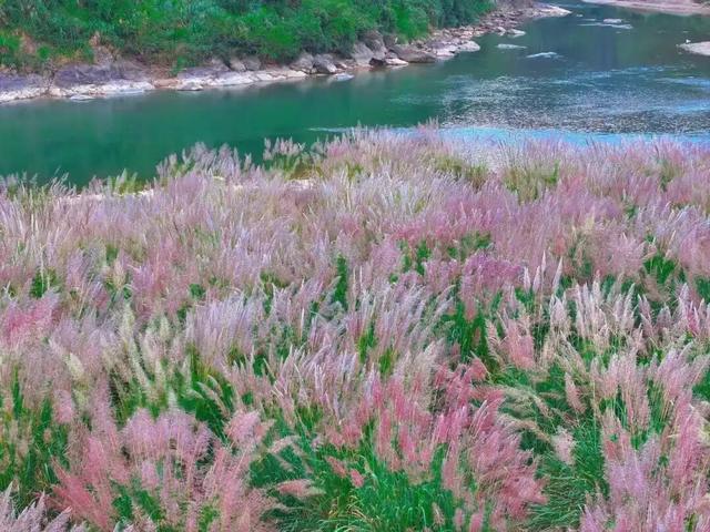 属于福安人的第一场“雪”来了！
