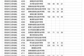 湖南专科批第二次征集志愿分数线（职高对口类）出炉图片