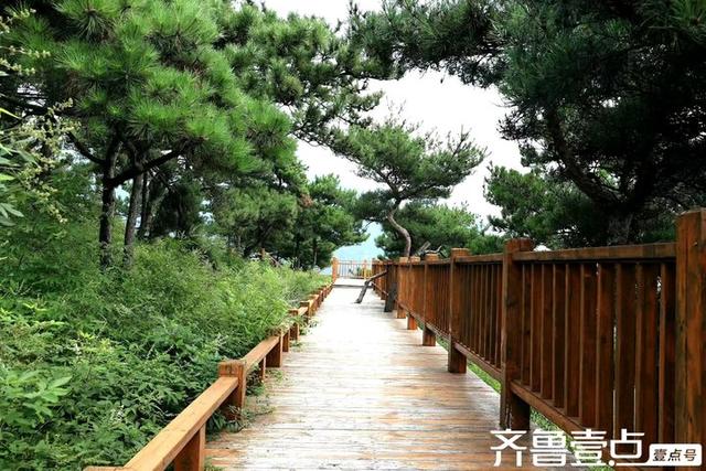 秀山东丨新泰:风景如画，如诗如梦