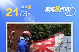 新闻8点见丨东航MU5735航空器飞行事故调查进展公布图片