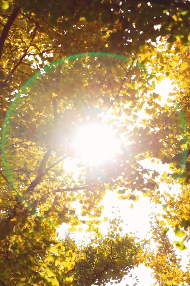 美绝！西安初冬的含金量还在上升！