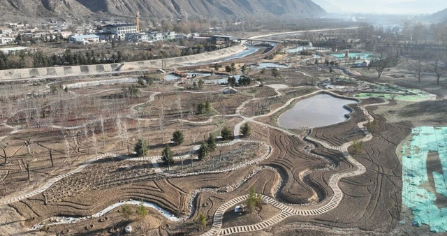 寒风里的“花事约定”！漳县贵清山植物园科学栽郁金香 筑牢春日文旅基底