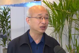 活力凸显！东部经济“提速领跑” 中西部“妙招频出”图片