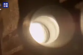 蛇有什么特殊意义 为啥世界卫生组织的标志上有蛇？图片