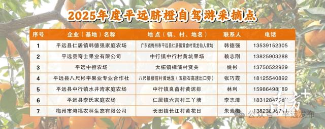 解锁冬日甜蜜！平远脐橙购买最全攻略来了