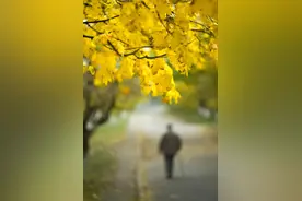 孤独的二舅图片