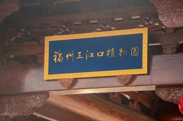 一起“森”呼吸！假期在福州开启绿野仙踪副本