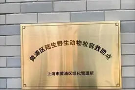 碰到“流浪”的陆生野生动物如何处理？请与这两个救助点联系→图片