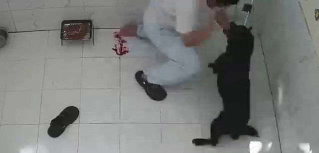 饲养员喂寄养狗遭撕咬缝针