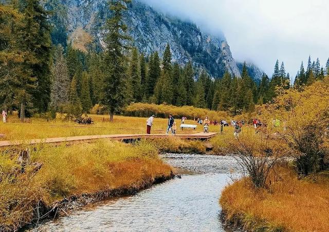 青睐绵阳 ‖ 红透了！周末去平武，沿着“百里彩林走廊”看一场雪山彩林“大片”~