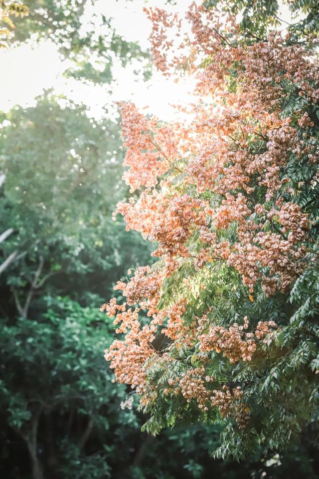 冬日暖阳里，来丰泽这儿享受惬意时光……