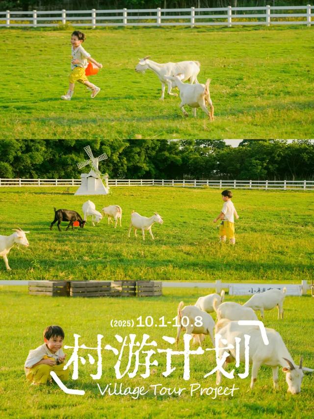 是时候回村了！来南宁共享田园慢生活，共赏万亩灯海