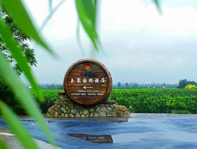 【假期趣游永宁】十月秋风酿美酒，且向葡园深处行