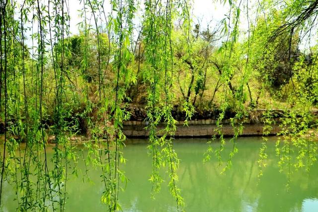 3月7日至8日，女性游客免门票游乃古石林风景区