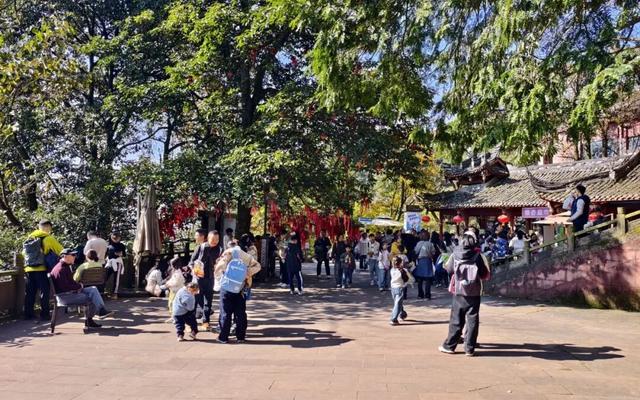 元旦游名山 | 全川TOP8！元旦怎么能不来这座网友疯狂打call的“神仙茶山”？