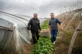 2025阿里公益榜揭晓，马云寄语下一个公益十年图片