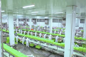 牧原肉食：保障春节供应 配送日夜不歇图片