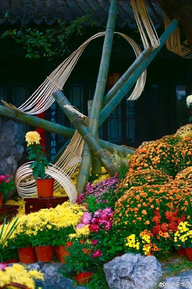 怎么能错过秦淮的秋天呢？