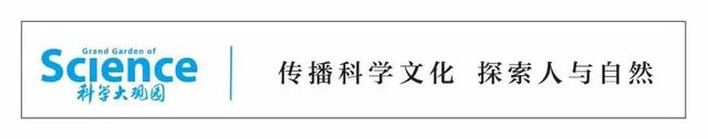 静脉功能不全究竟是怎么回事