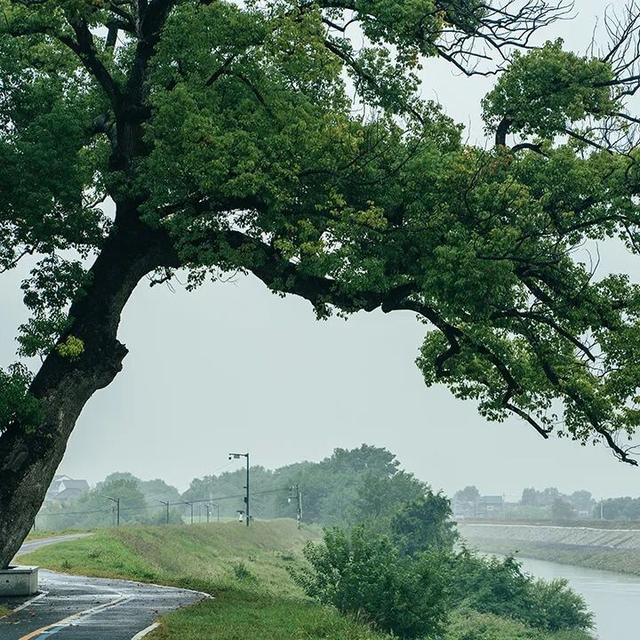 今天，带你一键解锁福安人的“精神快充站”！