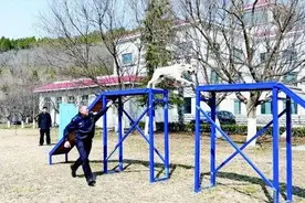 可爱小奶狗如何练成霸气警犬，记者揭秘→图片