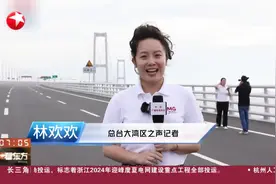 深中通道今天下午正式通车试运营 记者提前探访深中通道的白天与夜晚视频封面