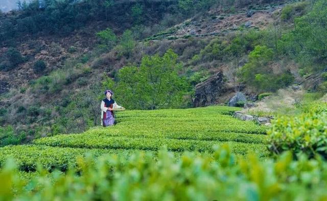 圣洁甘孜·一生有约 | 九龙九秘，一场关于山川、时光与舌尖的极致邀约