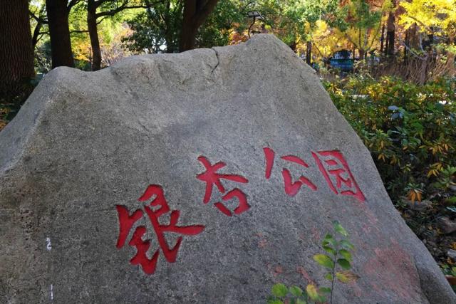 红的黄的绿的！天气这么好，来这些地方看看闵行的秋天吧~