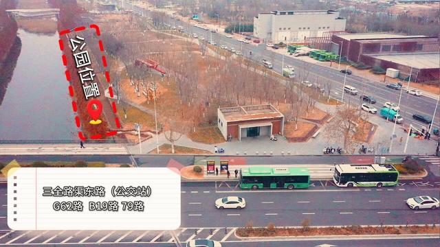 郑州冬日顶流！这里的水杉林红成童话(8条公交线路直达)！