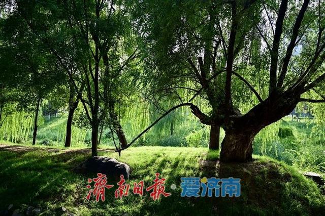 一年四季 泉在济南丨济南腊山河公园：废墟与古城的时光对话