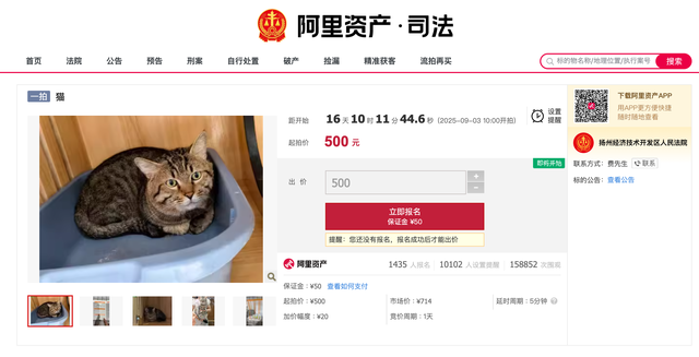 早报｜华为老机型或将支持鸿蒙 5.0 升级/董宇辉否认年收入二三十亿/首个「百米飞人」机器人诞生