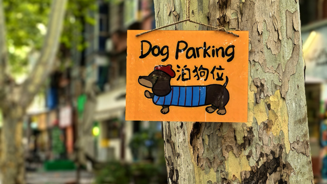 最近，洛阳人都在钻商场，怎么回事？