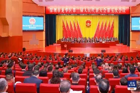 高水平建设中轴新城 龙华区力争多项产业产值超3000亿图片