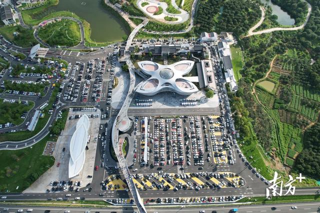 浮山岭上踏歌行！茂名重阳登高邂逅城乡新图景