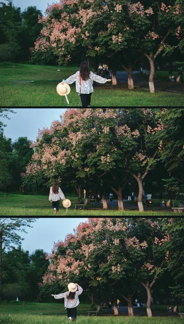 假如秋冬有颜色，肇庆便是一场多彩盛宴～